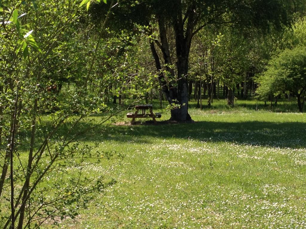 La Marelle Bed & Breakfast Avrille-les-Ponceaux Room photo