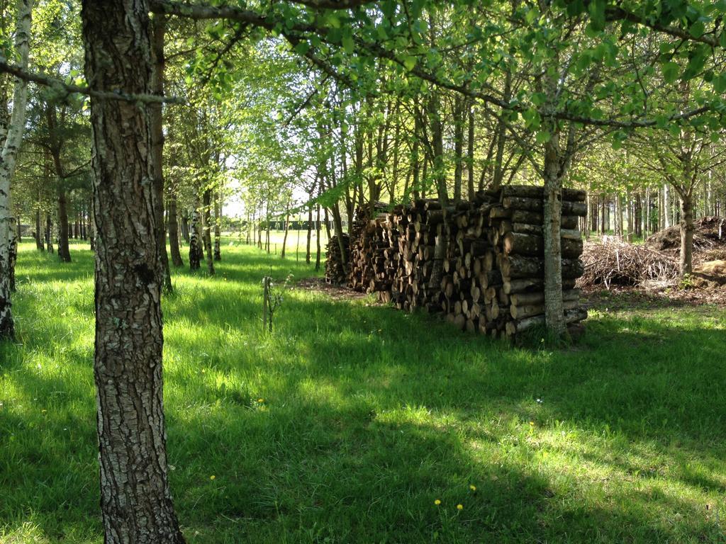 La Marelle Bed & Breakfast Avrille-les-Ponceaux Room photo