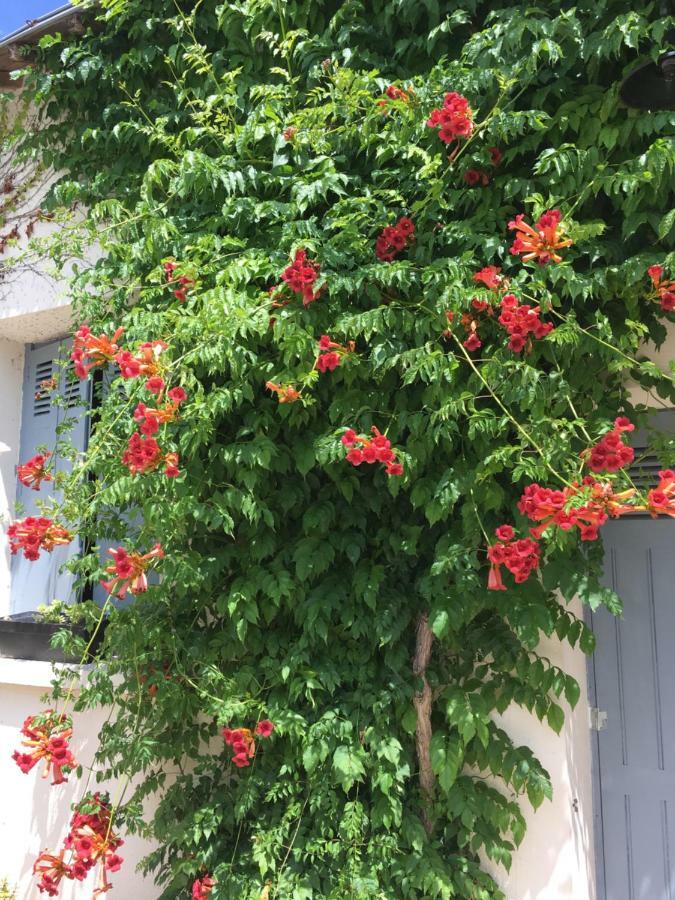 La Marelle Bed & Breakfast Avrille-les-Ponceaux Exterior photo